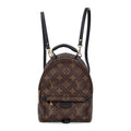 Monogram Palm Springs Backpack Mini