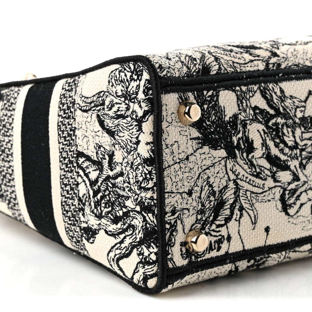 Canvas Embroidered Zodiac Toile De Jouy Medium Lady D-Lite Latte