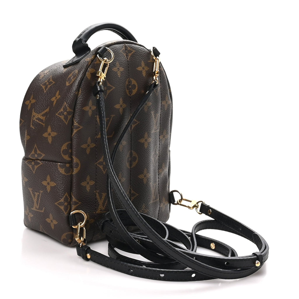 Monogram Palm Springs Backpack Mini