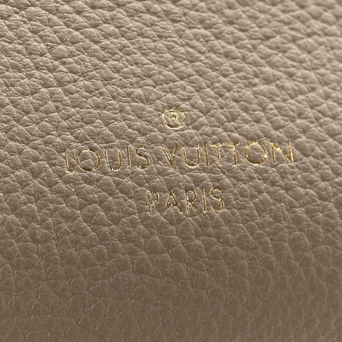 Calfskin Side Trunk MM Taupe