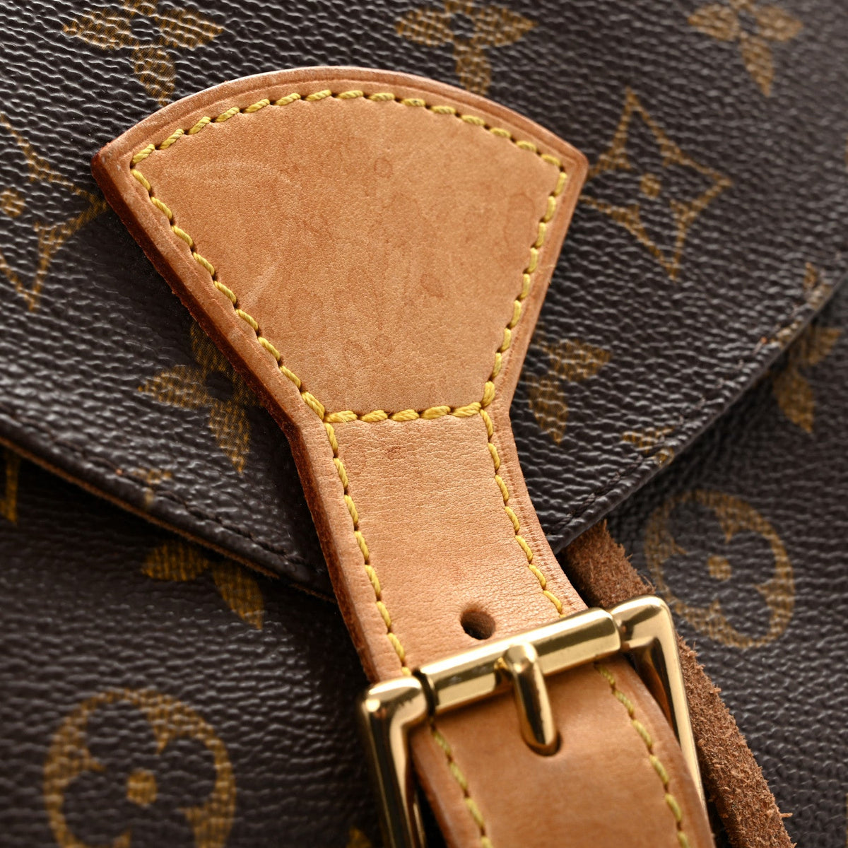 Monogram Montsouris GM Backpack