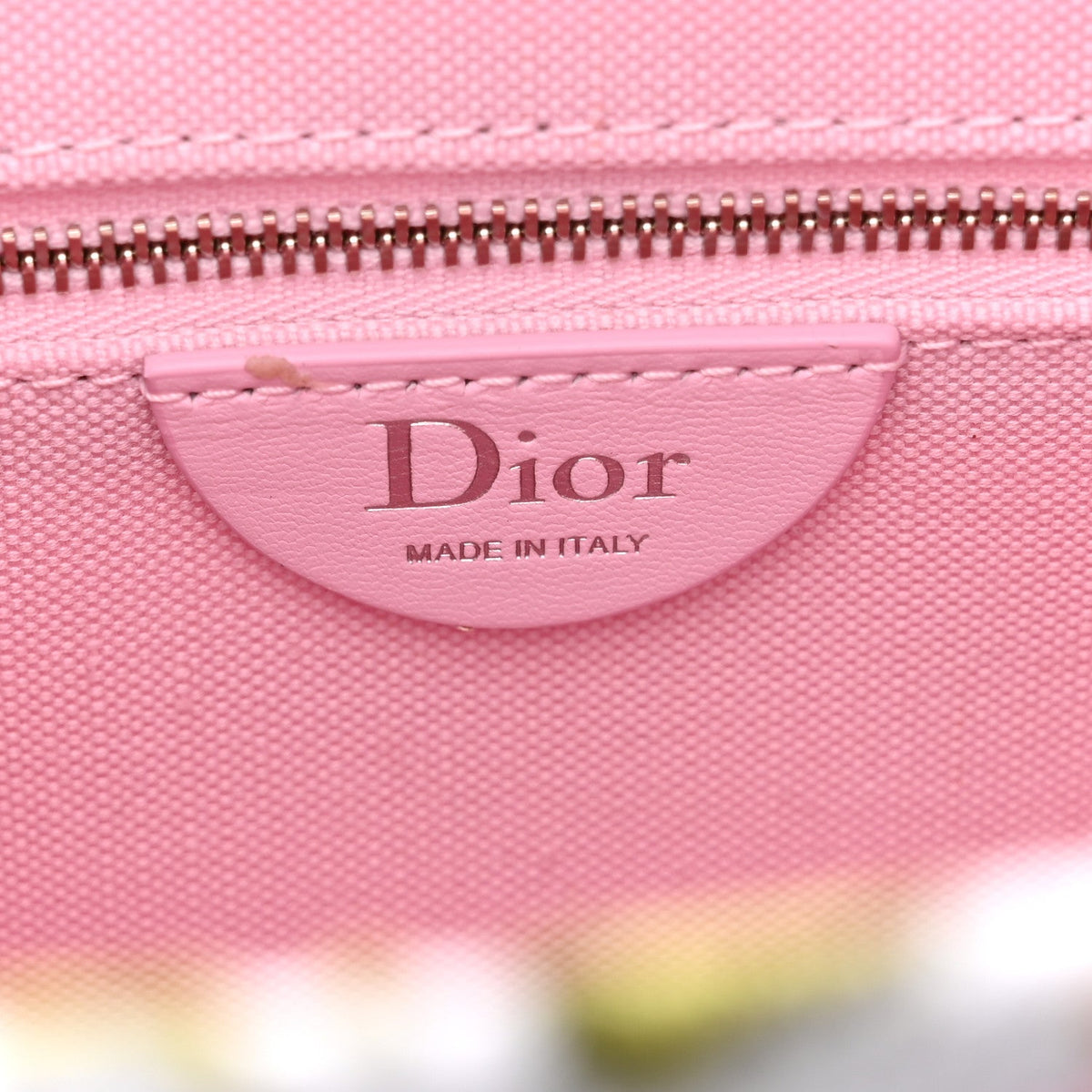 Cotton Toile De Jouy Daisy Garden Embroidered Dior Medaillon Small Book Tote With Strap Pink Multicolor