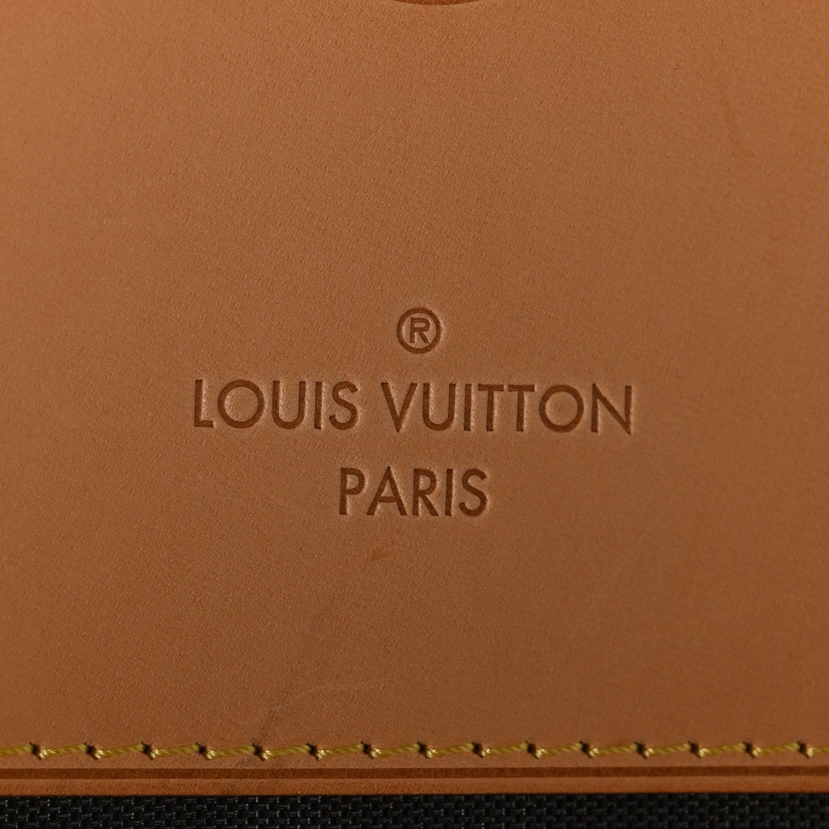 Monogram Pegase 55 Business