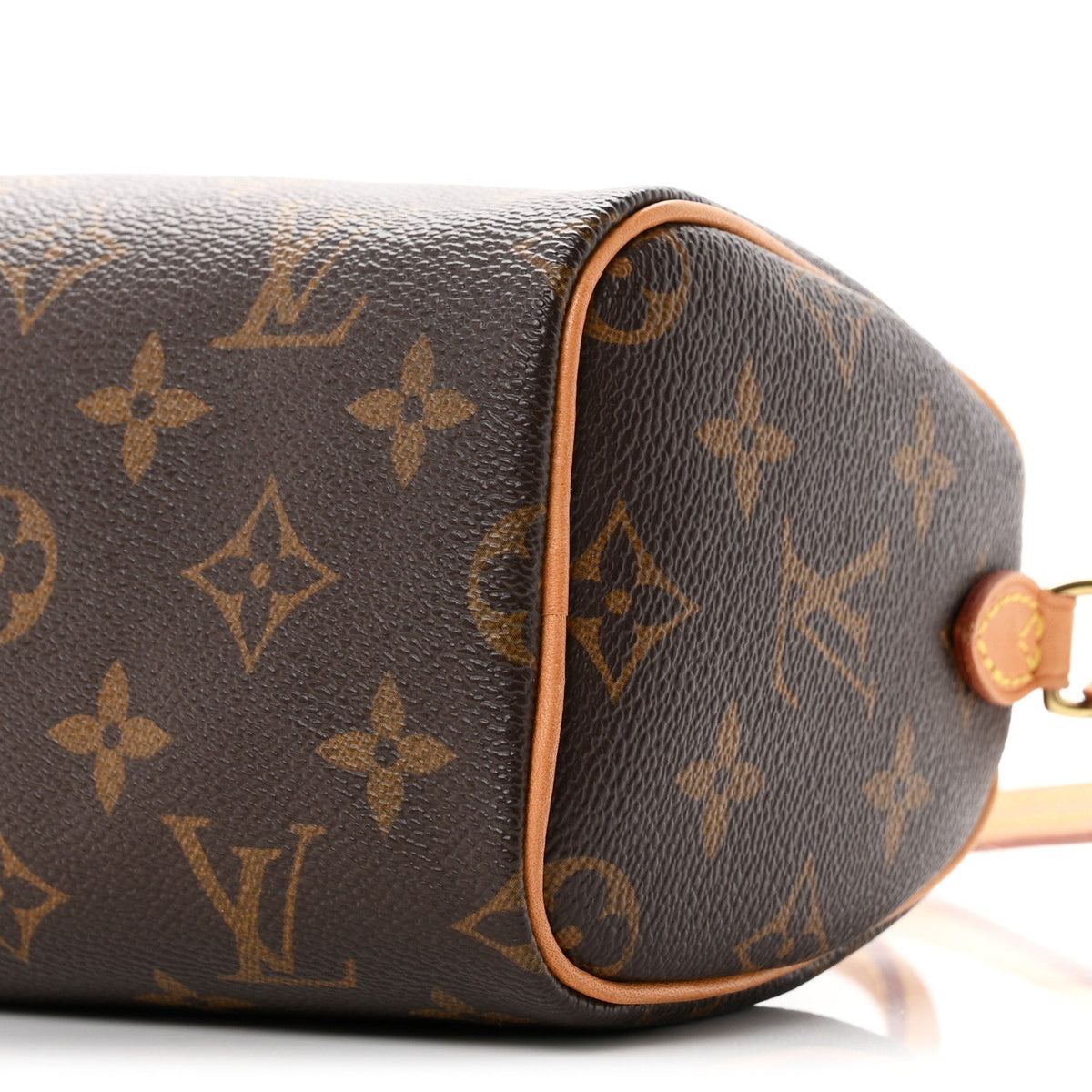 Monogram Nano Speedy