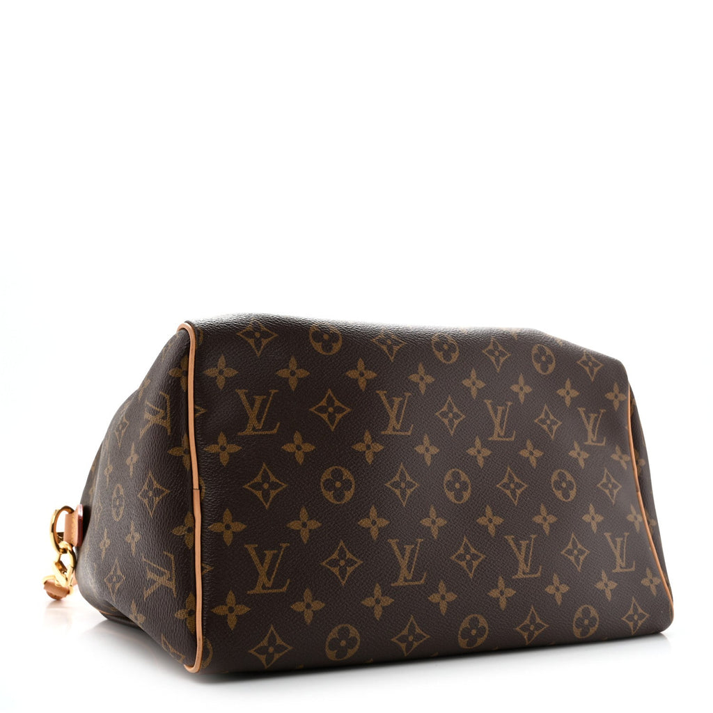 Monogram Speedy Soft Crafty 30