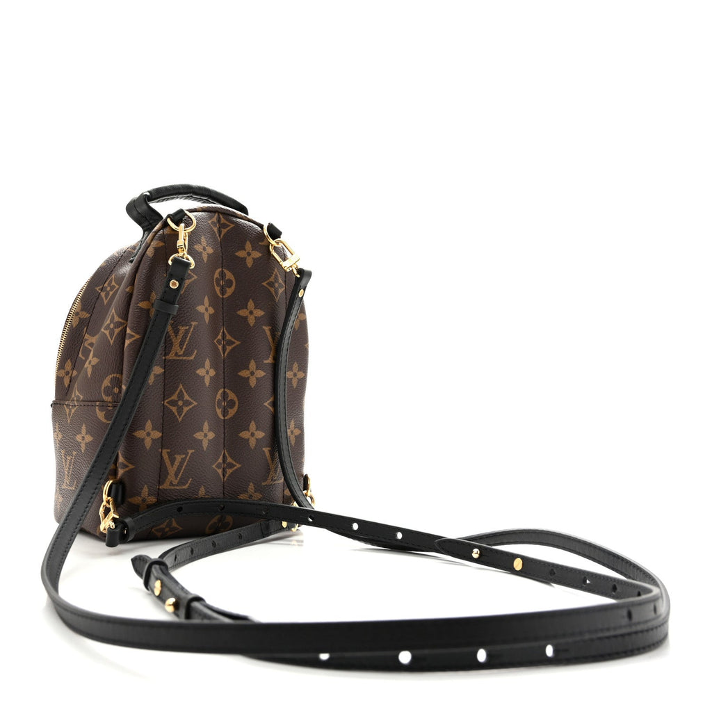 Monogram Palm Springs Backpack Mini