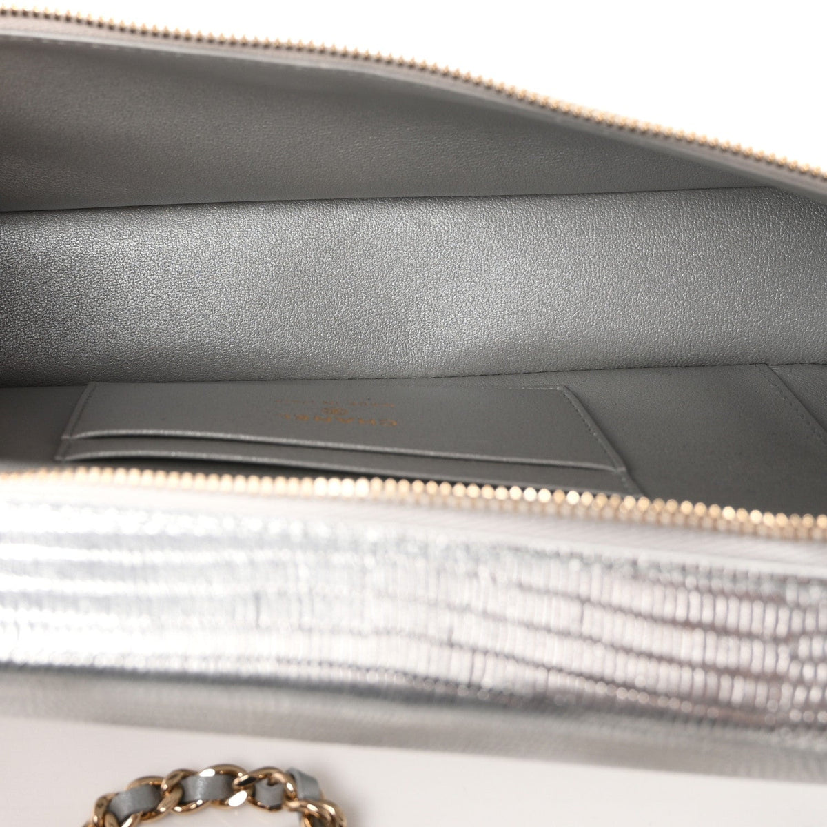 Lizard Embossed Calfskin Exoticoco Long Vanity With Chain Silvery