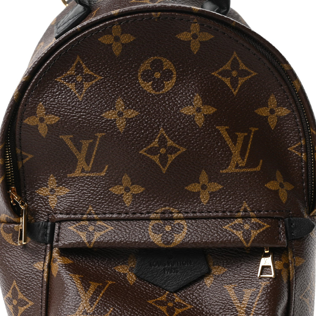 Monogram Palm Springs Backpack Mini