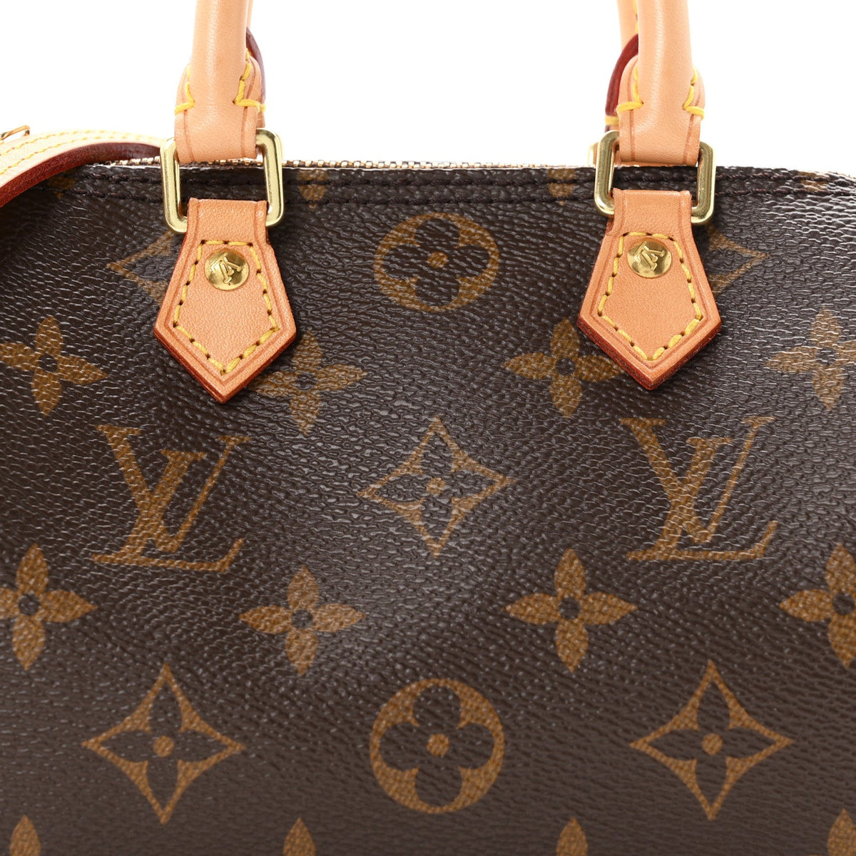 Monogram Nano Speedy