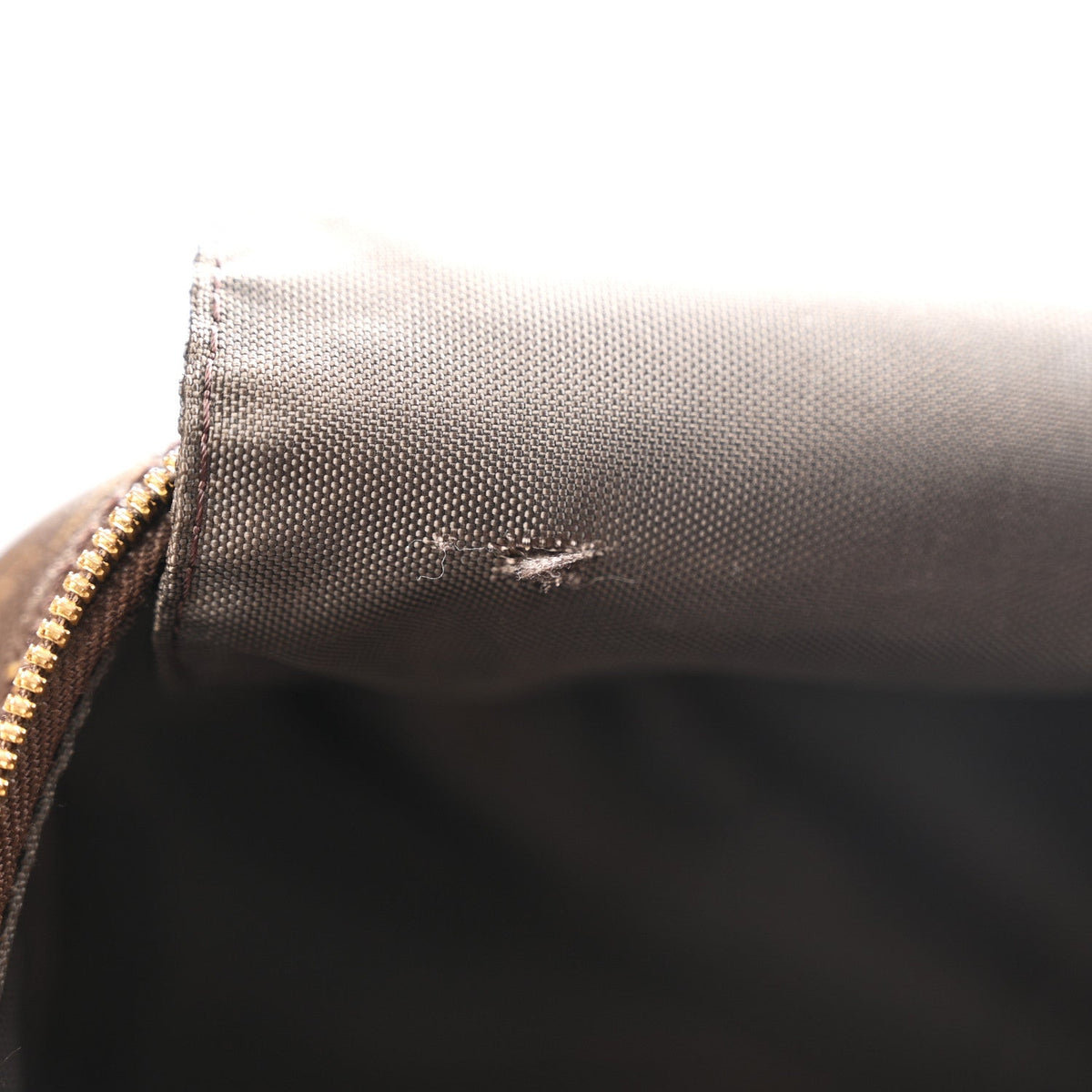 Monogram Pegase 55