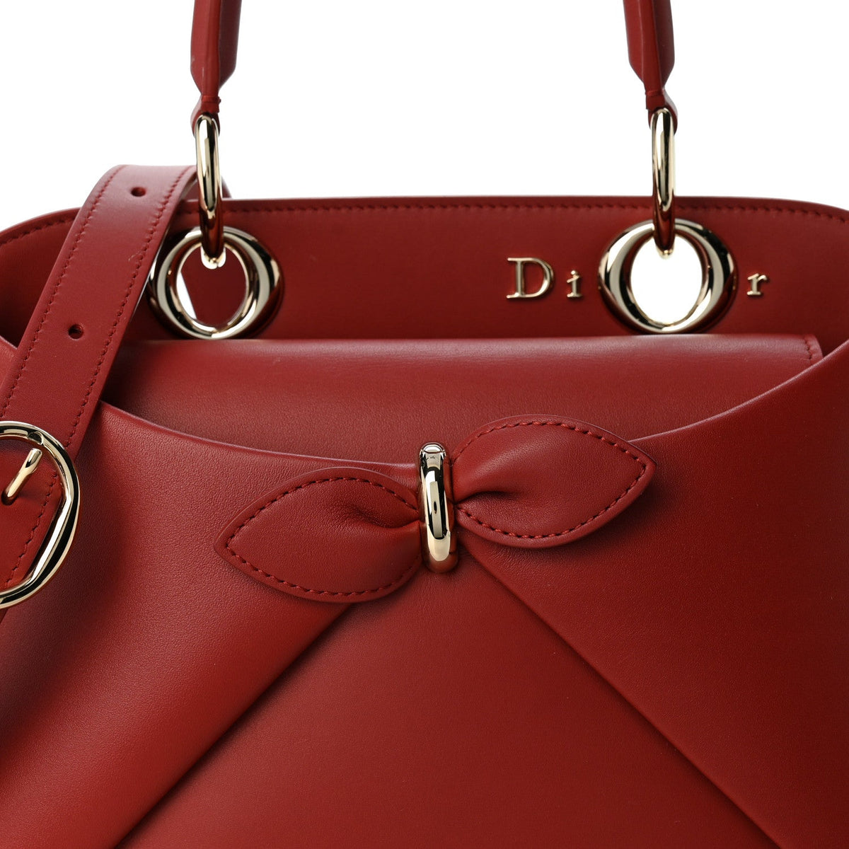 Shiny Smooth Calfskin Small Cigale Bag Garance