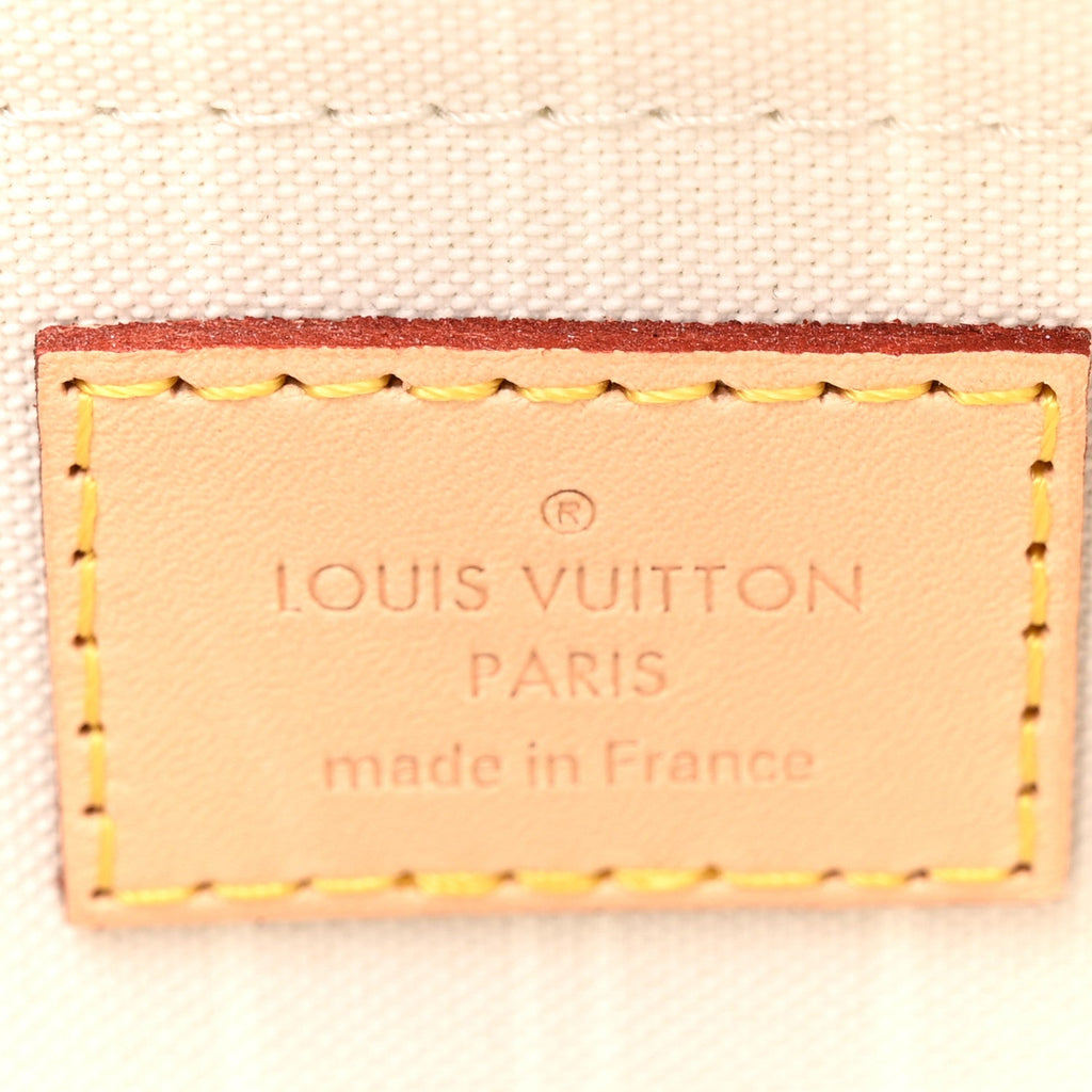 Monogram Giant By The Pool Multi Pochette Accessories Brume