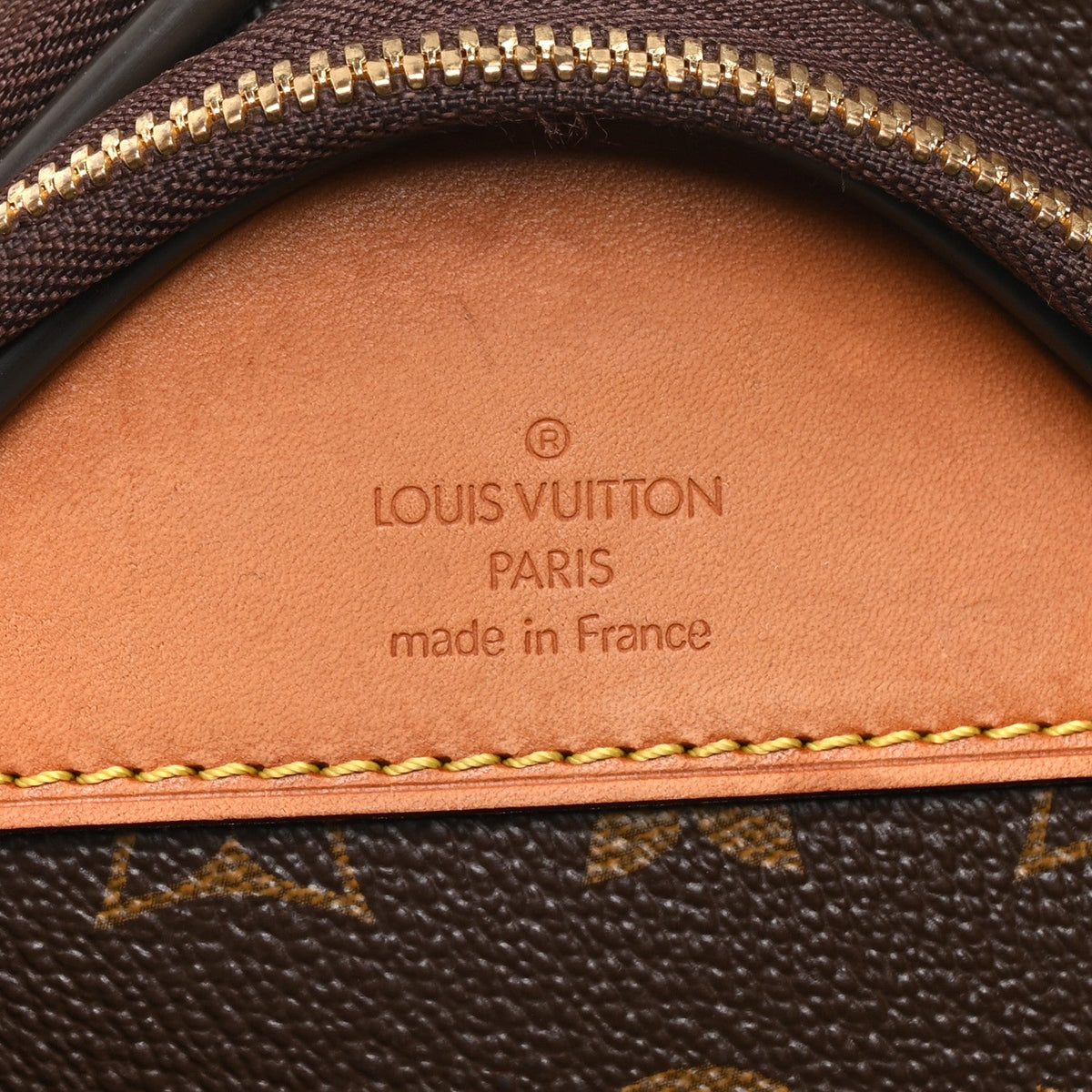 Monogram Pegase 55 Business