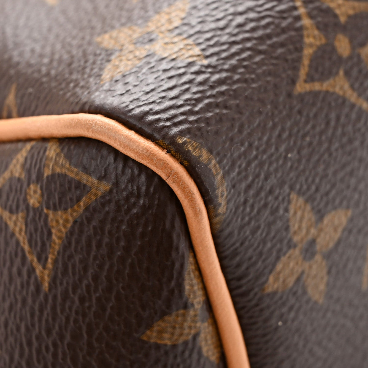 Monogram Speedy Soft Crafty 30