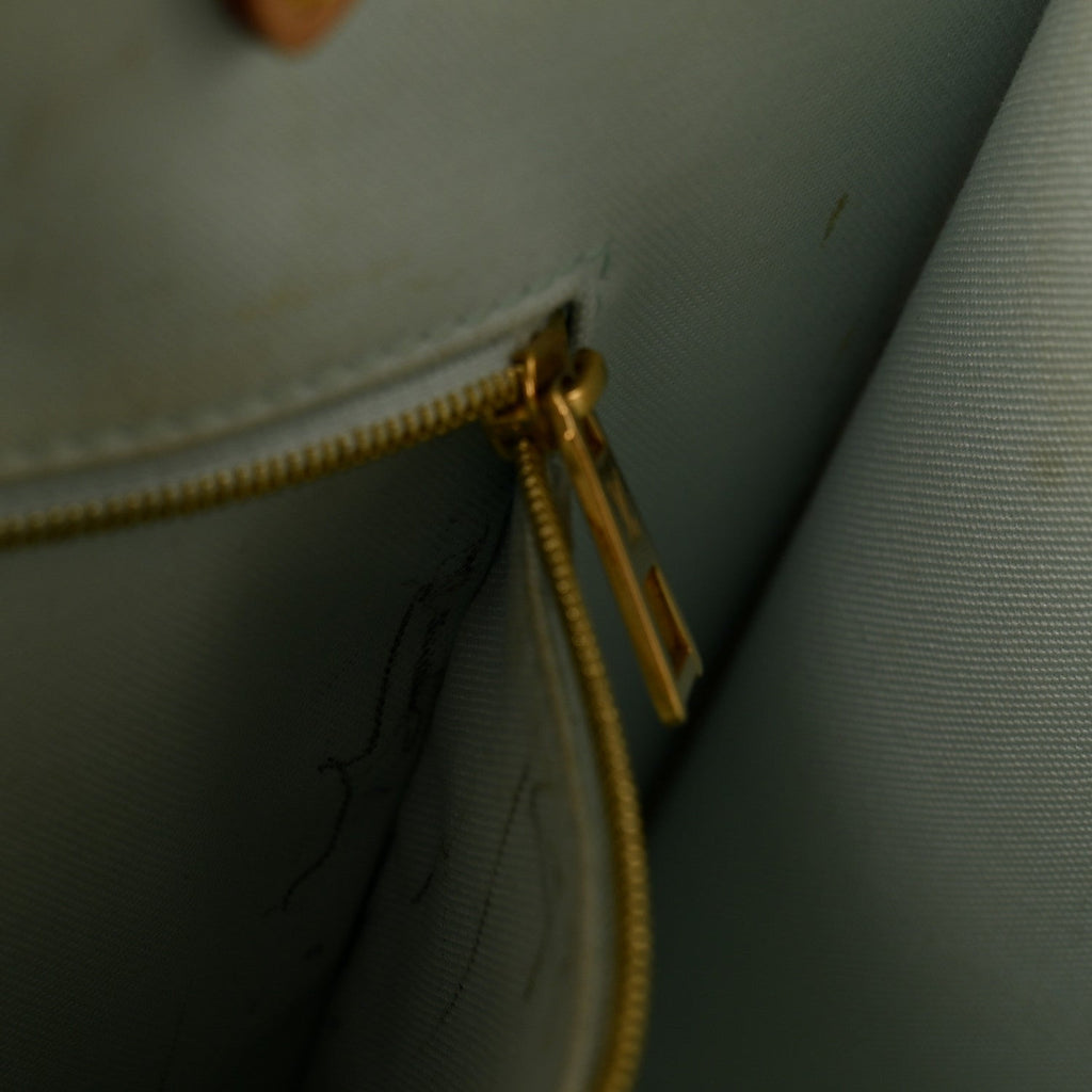 Damier Giant Onthego MM Pistachio