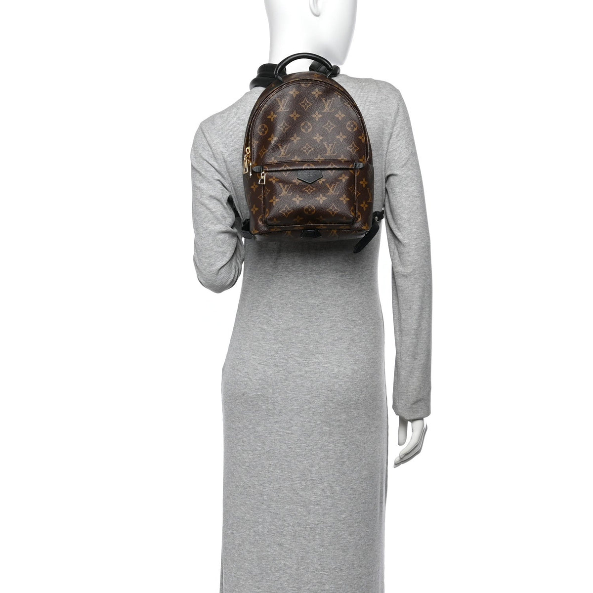 Monogram Palm Springs Backpack PM