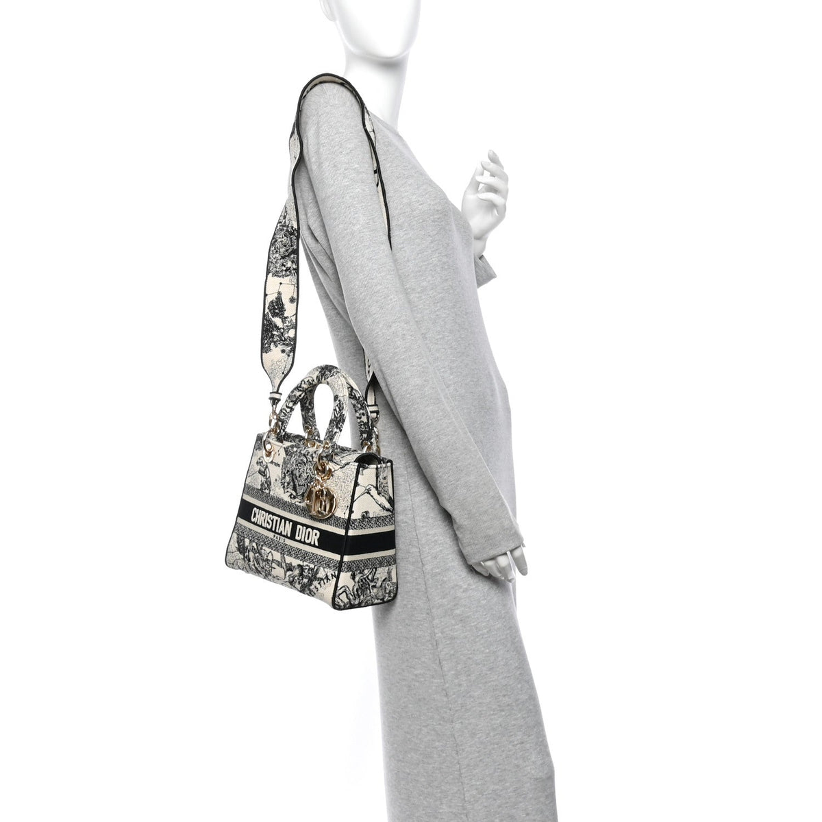 Canvas Embroidered Zodiac Toile De Jouy Medium Lady D-Lite Latte