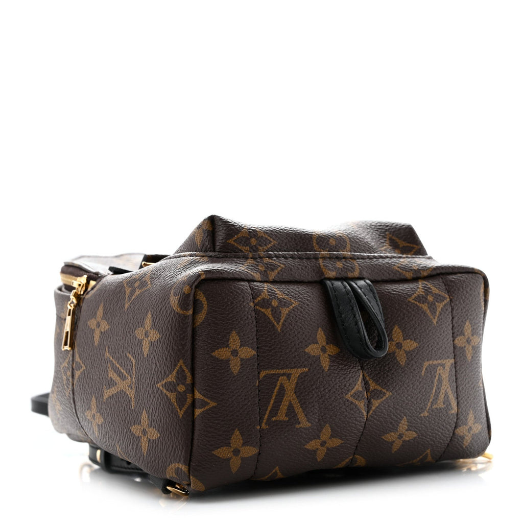 Monogram Palm Springs Backpack Mini