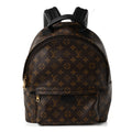 Monogram Palm Springs Backpack MM