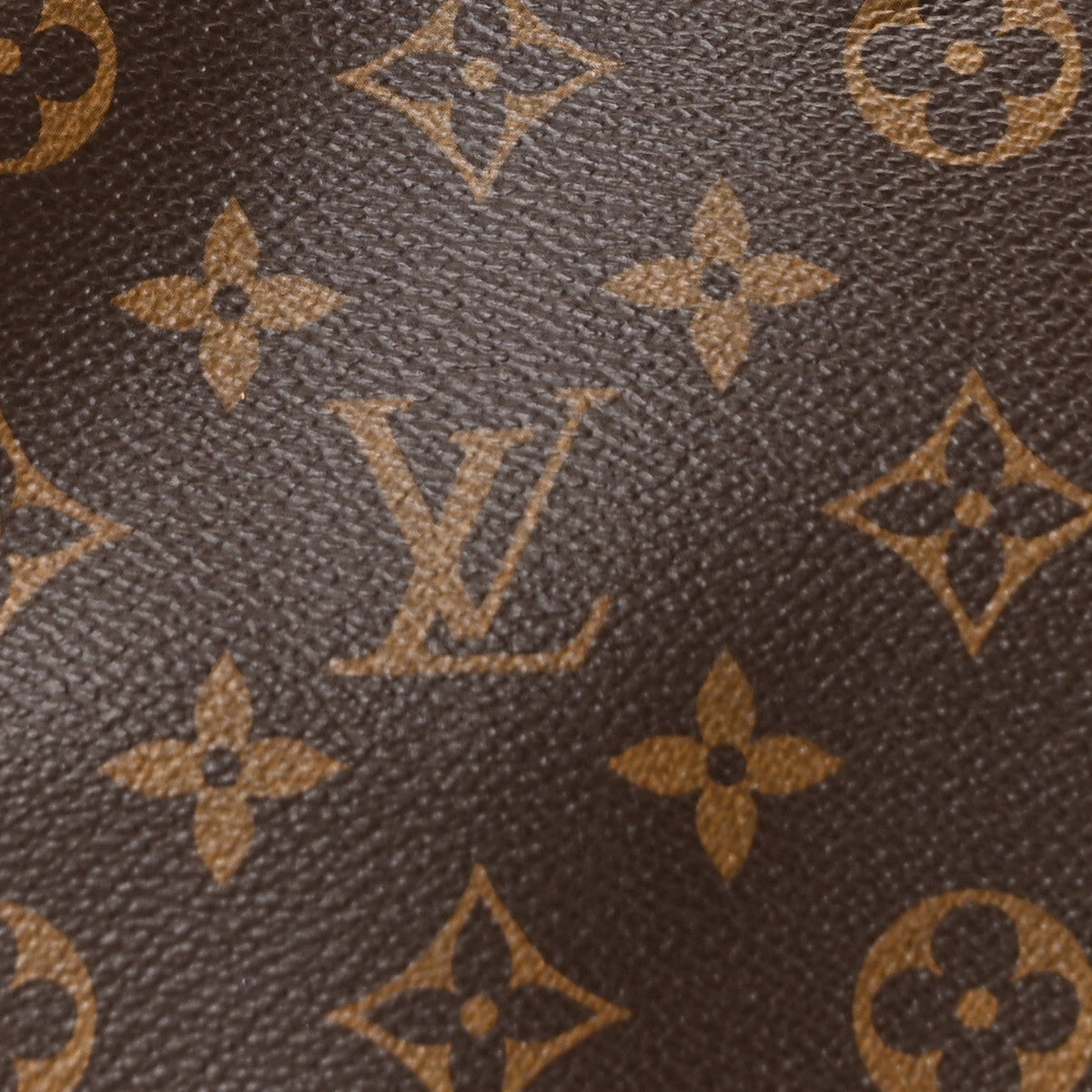 Monogram CarryAll PM