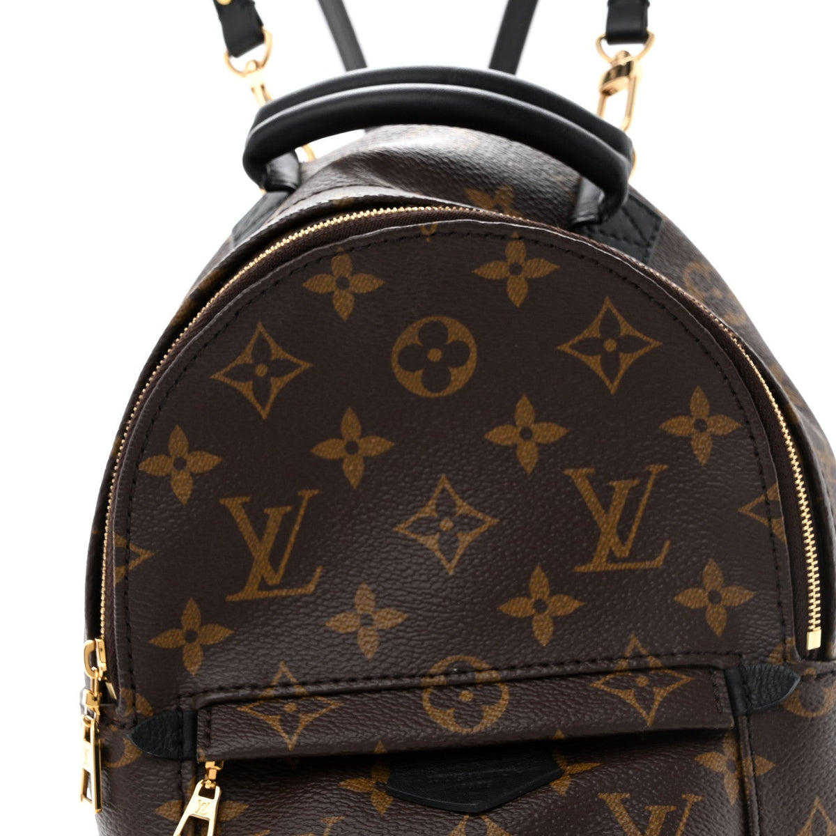 Monogram Palm Springs Backpack Mini