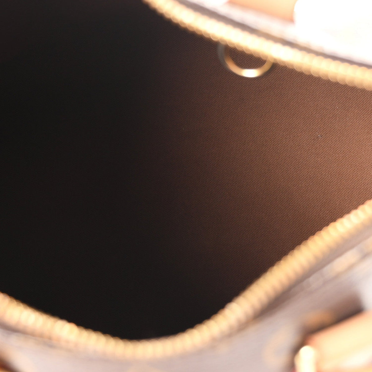 Monogram Speedy Bandouliere 25