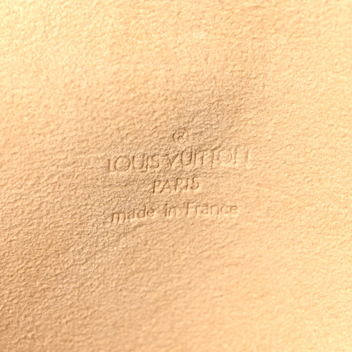 Monogram Pochette Florentine S