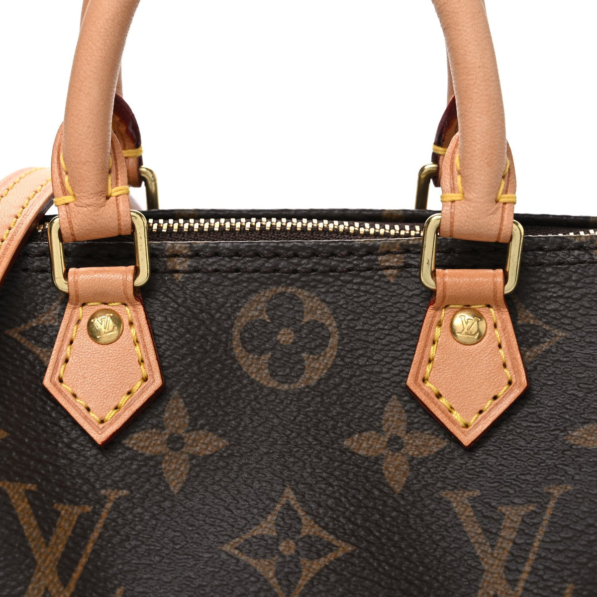 Monogram Nano Speedy