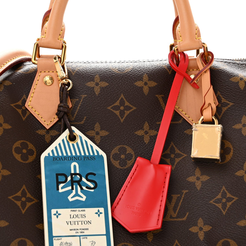 Monogram Speedy Soft Crafty 30
