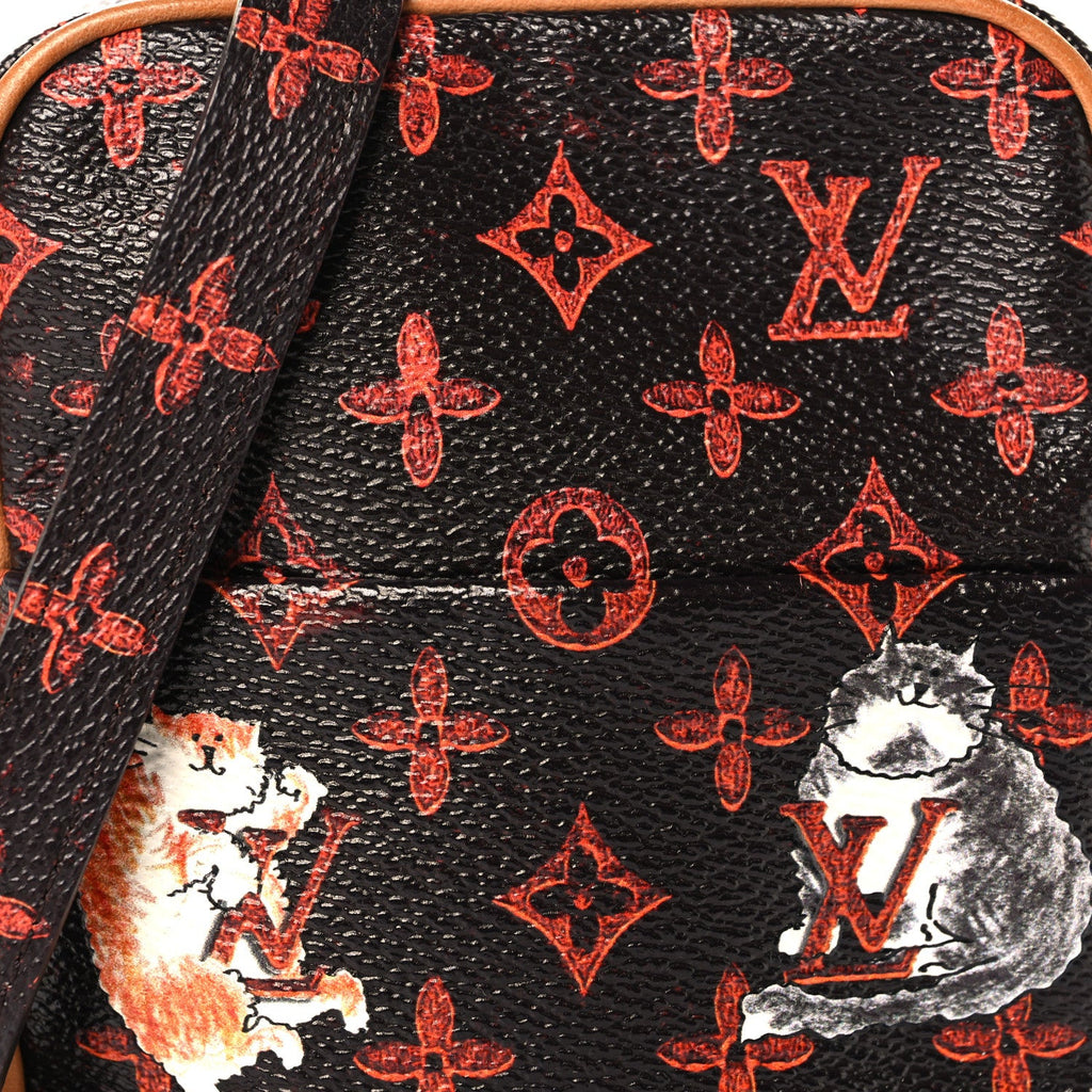 Catogram Small Paname Marron