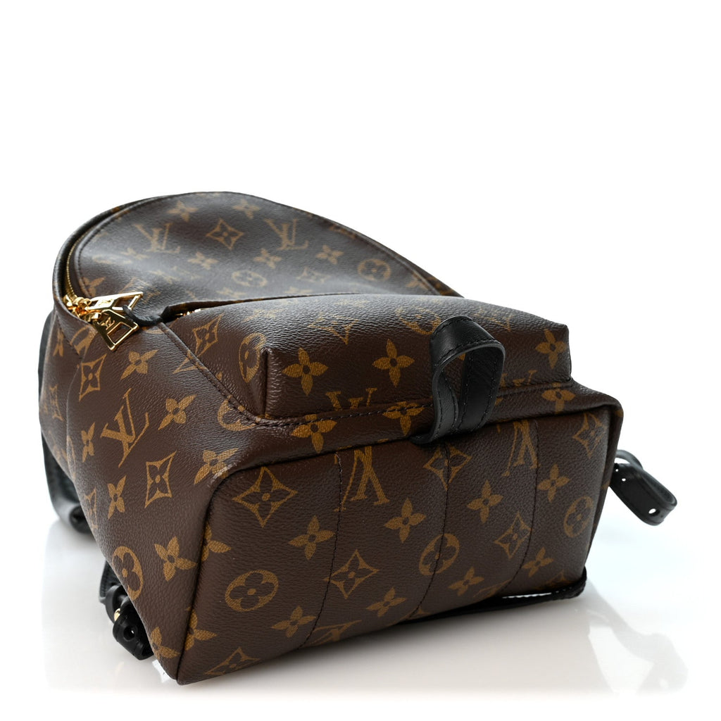 Monogram Palm Springs Backpack PM