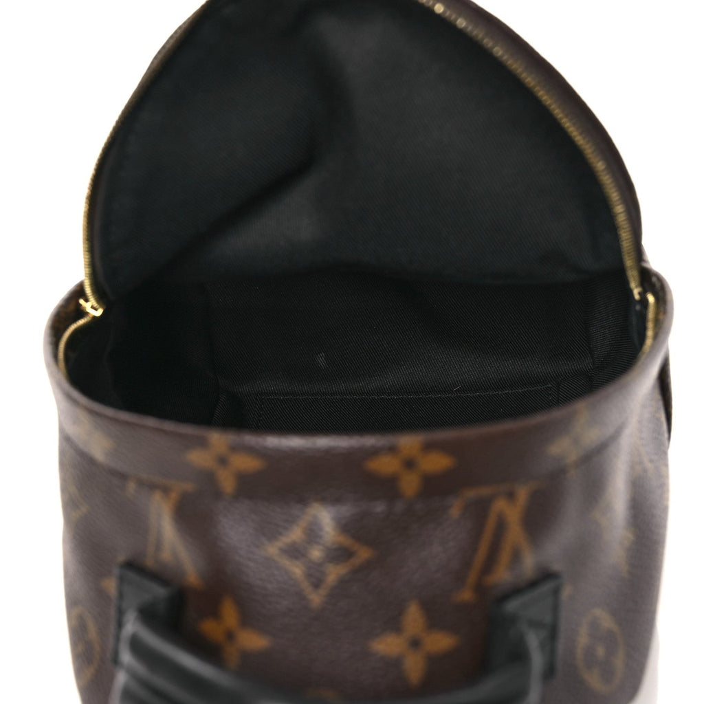 Monogram Palm Springs Backpack Mini