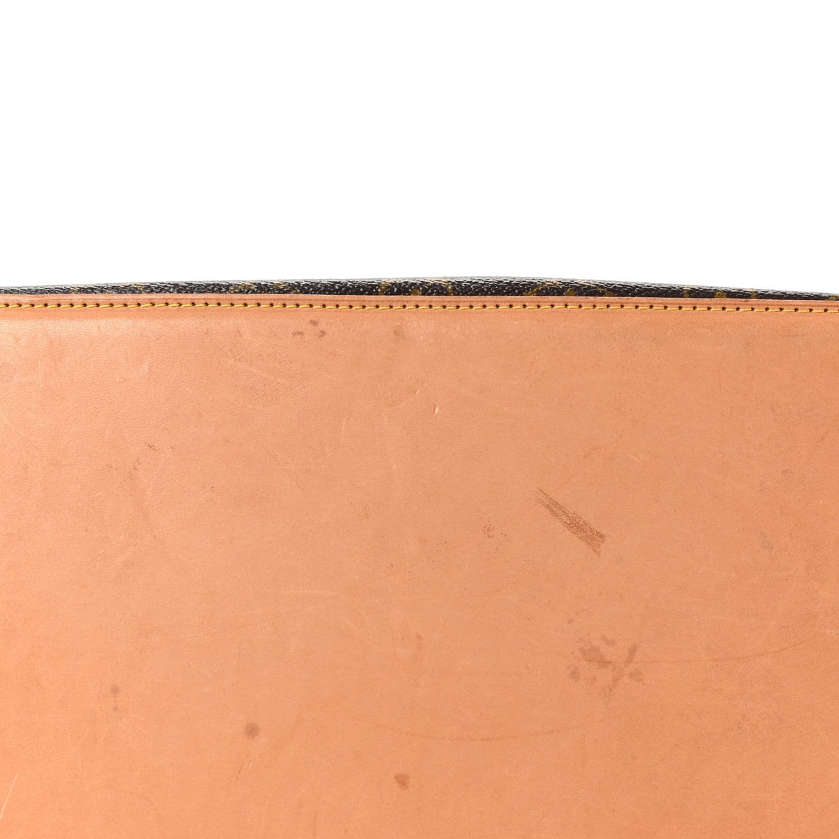 Monogram Cabas Mezzo