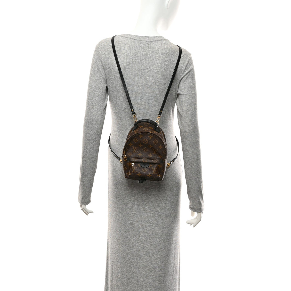 Monogram Palm Springs Backpack Mini