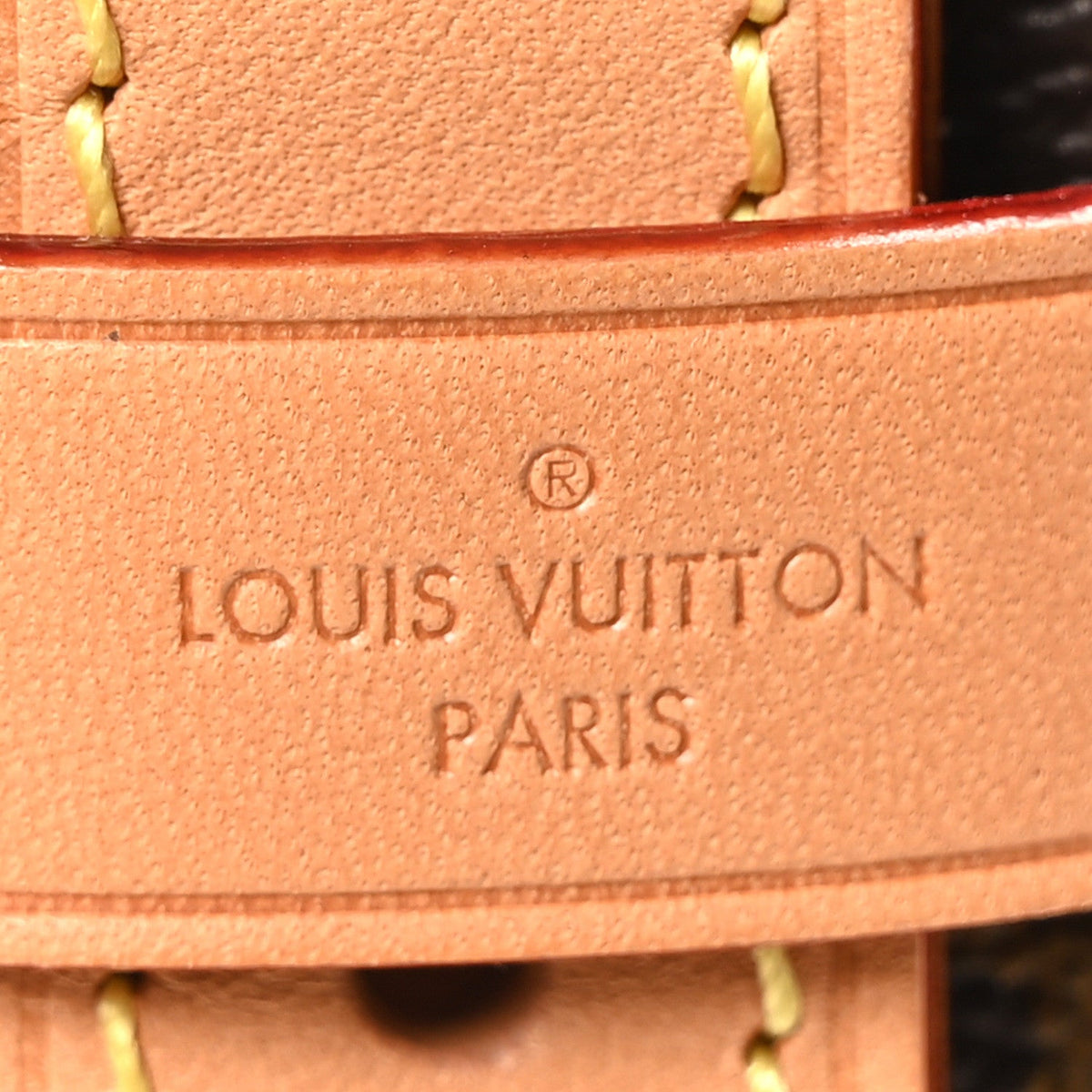 Monogram Carryall PM