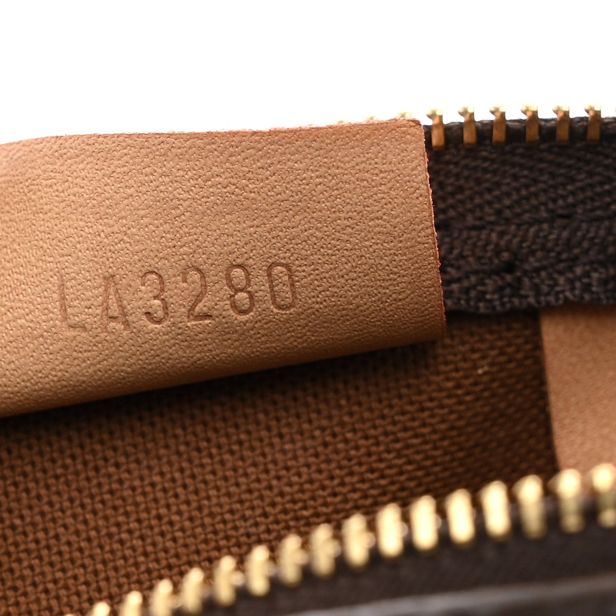 Monogram Nano Speedy