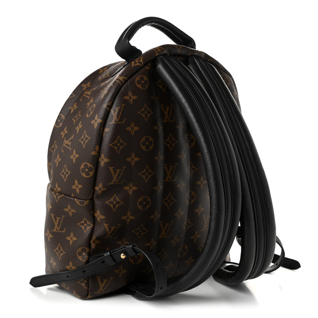 Monogram Palm Springs Backpack MM