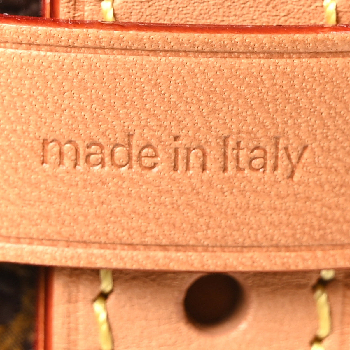 Monogram Carryall PM