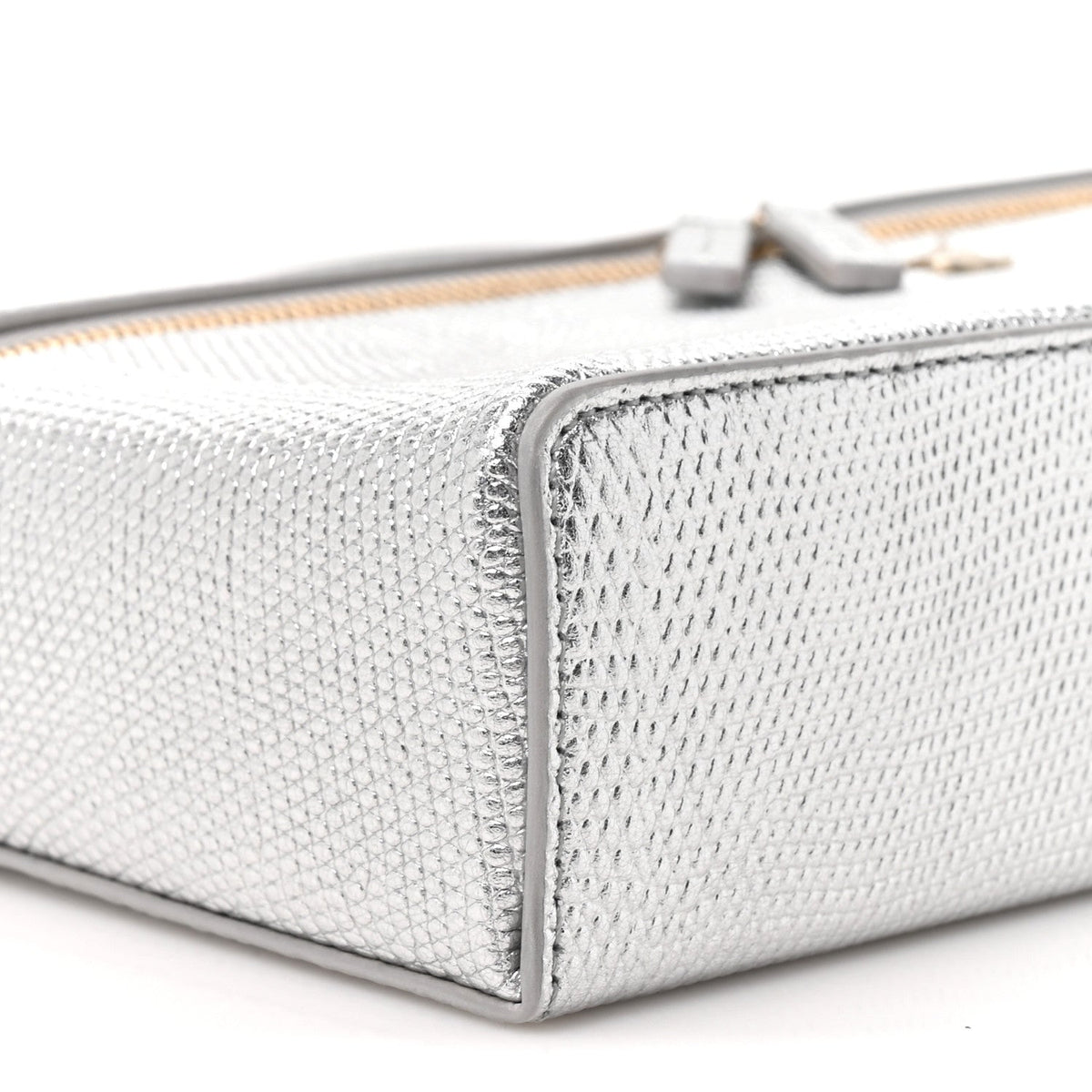 Lizard Embossed Calfskin Exoticoco Long Vanity With Chain Silvery