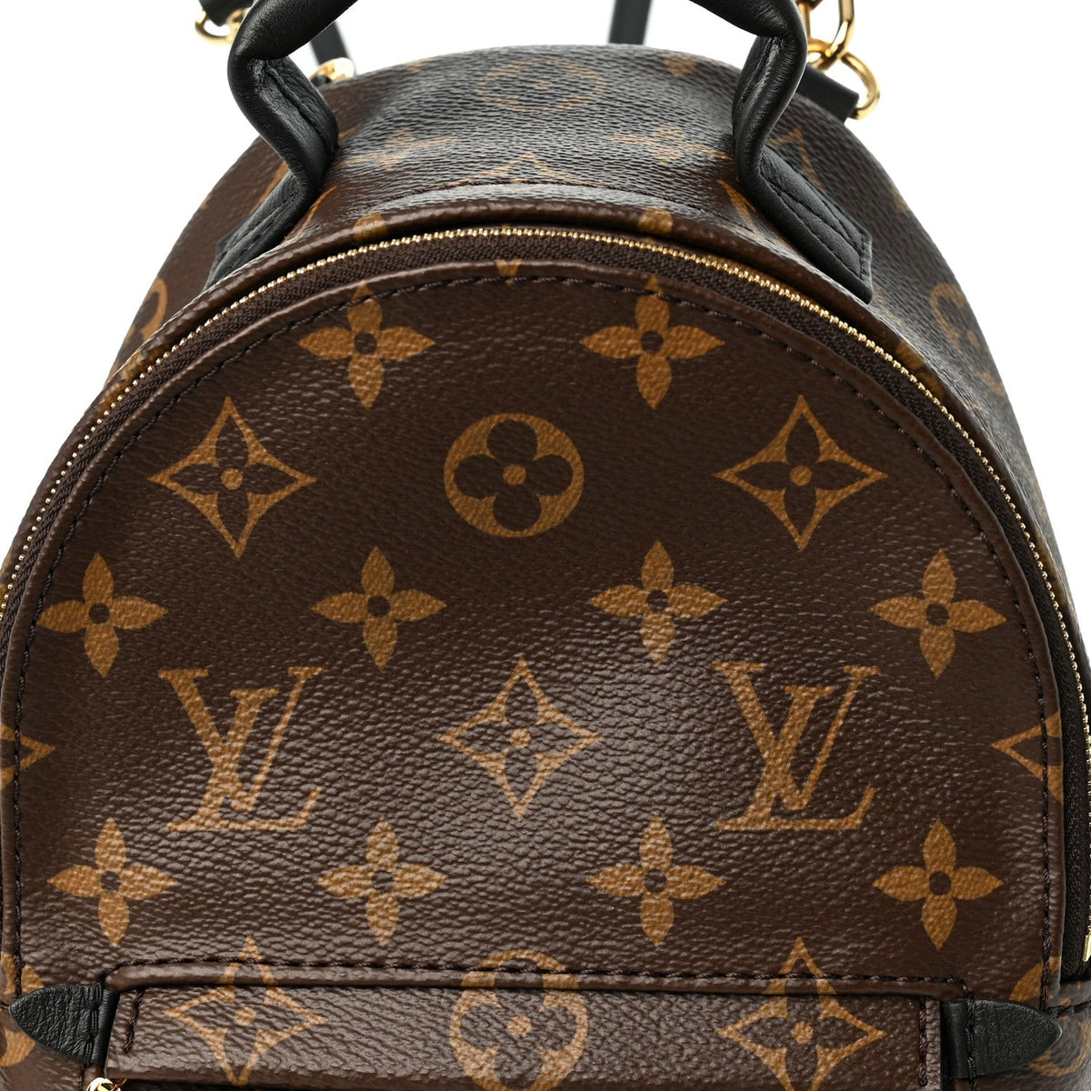 Monogram Palm Springs Backpack Mini