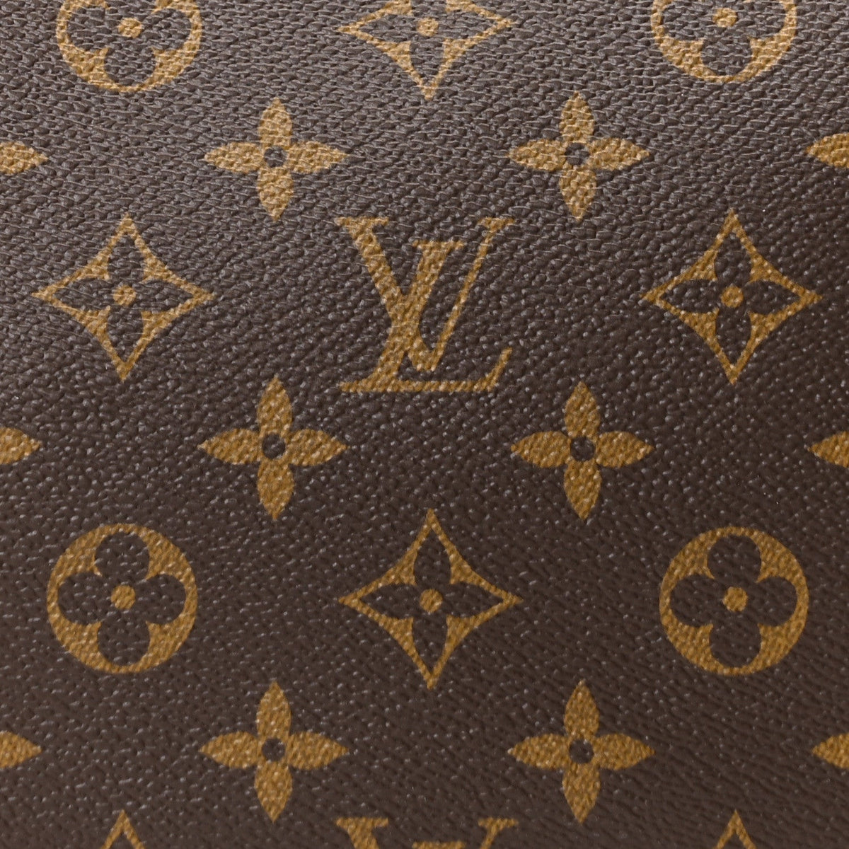 Monogram Carryall PM