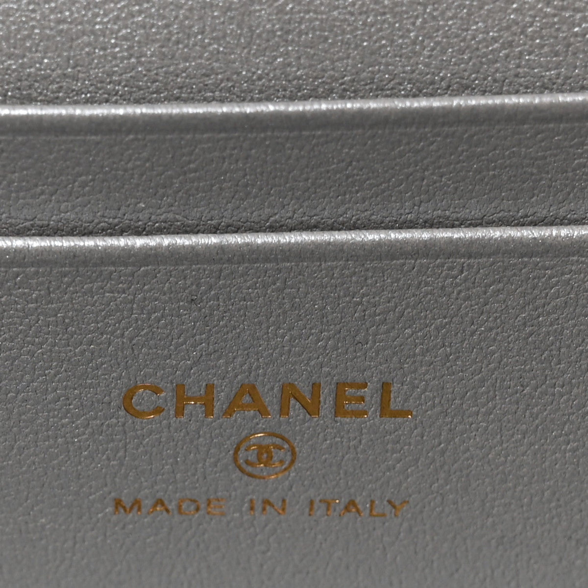 Lizard Embossed Calfskin Exoticoco Long Vanity With Chain Silvery