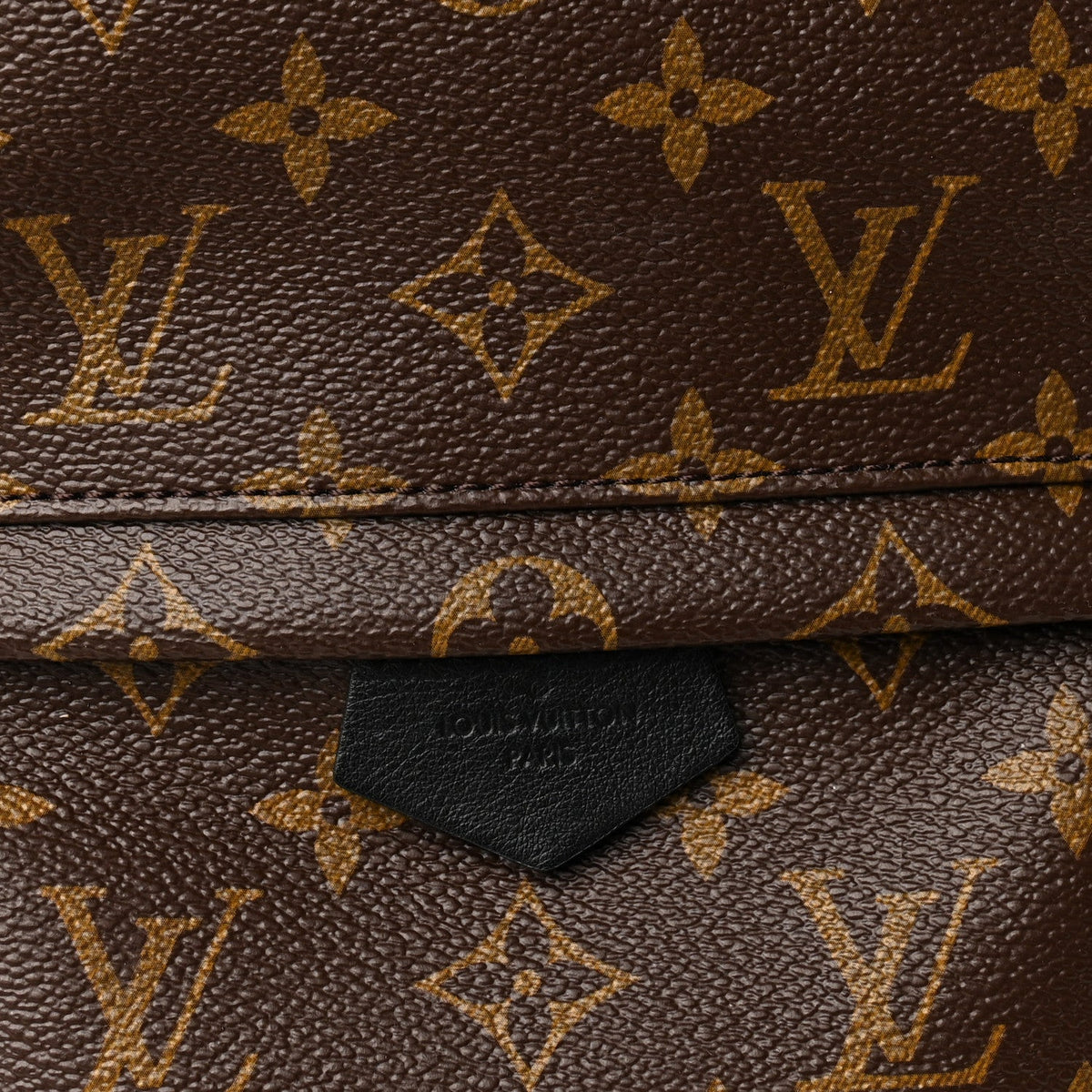 Monogram Palm Springs Backpack PM